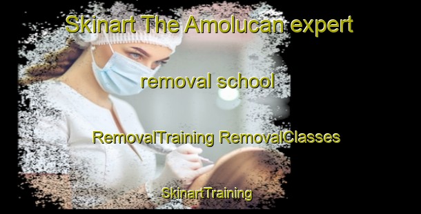 Skinart The Amolucan expert removal school | #RemovalTraining #RemovalClasses #SkinartTraining-Mexico