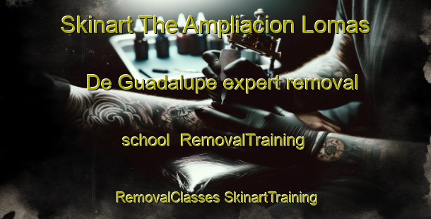 Skinart The Ampliacion Lomas De Guadalupe expert removal school | #RemovalTraining #RemovalClasses #SkinartTraining-Mexico