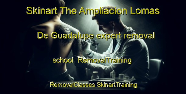 Skinart The Ampliacion Lomas De Guadalupe expert removal school | #RemovalTraining #RemovalClasses #SkinartTraining-Mexico