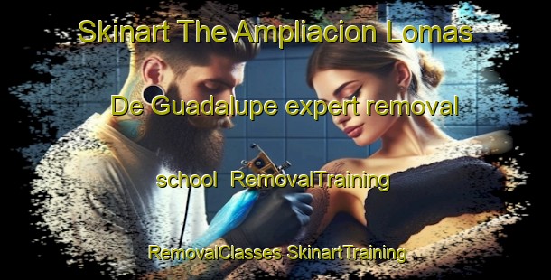 Skinart The Ampliacion Lomas De Guadalupe expert removal school | #RemovalTraining #RemovalClasses #SkinartTraining-Mexico