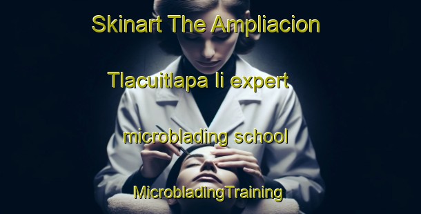 Skinart The Ampliacion Tlacuitlapa Ii expert microblading school | #MicrobladingTraining #MicrobladingClasses #SkinartTraining-Mexico