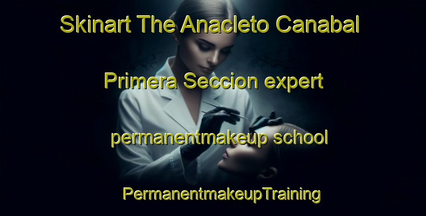 Skinart The Anacleto Canabal Primera Seccion expert permanentmakeup school | #PermanentmakeupTraining #PermanentmakeupClasses #SkinartTraining-Mexico