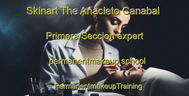 Skinart The Anacleto Canabal Primera Seccion expert permanentmakeup school | #PermanentmakeupTraining #PermanentmakeupClasses #SkinartTraining-Mexico