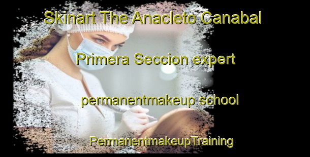 Skinart The Anacleto Canabal Primera Seccion expert permanentmakeup school | #PermanentmakeupTraining #PermanentmakeupClasses #SkinartTraining-Mexico