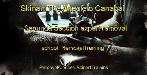 Skinart The Anacleto Canabal Segunda Seccion expert removal school | #RemovalTraining #RemovalClasses #SkinartTraining-Mexico