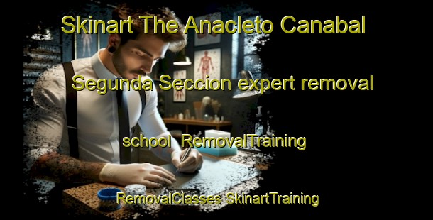 Skinart The Anacleto Canabal Segunda Seccion expert removal school | #RemovalTraining #RemovalClasses #SkinartTraining-Mexico