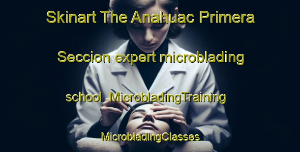 Skinart The Anahuac Primera Seccion expert microblading school | #MicrobladingTraining #MicrobladingClasses #SkinartTraining-Mexico