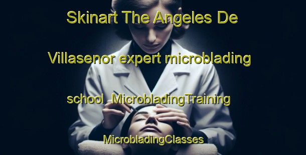 Skinart The Angeles De Villasenor expert microblading school | #MicrobladingTraining #MicrobladingClasses #SkinartTraining-Mexico