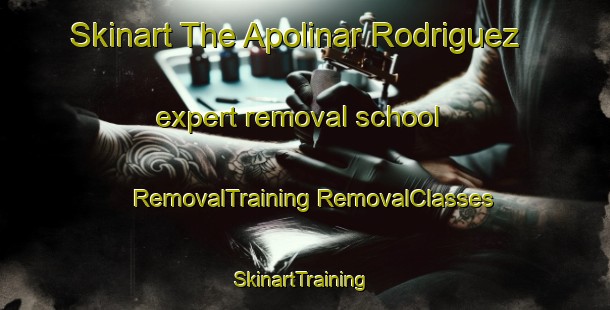 Skinart The Apolinar Rodriguez expert removal school | #RemovalTraining #RemovalClasses #SkinartTraining-Mexico