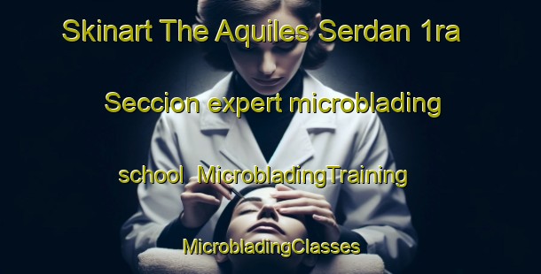 Skinart The Aquiles Serdan 1ra  Seccion expert microblading school | #MicrobladingTraining #MicrobladingClasses #SkinartTraining-Mexico