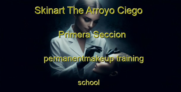 Skinart The Arroyo Ciego Primera Seccion permanentmakeup training school | #PermanentmakeupTraining #PermanentmakeupClasses #SkinartTraining-Mexico