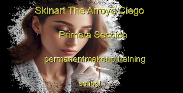 Skinart The Arroyo Ciego Primera Seccion permanentmakeup training school | #PermanentmakeupTraining #PermanentmakeupClasses #SkinartTraining-Mexico