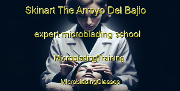 Skinart The Arroyo Del Bajio expert microblading school | #MicrobladingTraining #MicrobladingClasses #SkinartTraining-Mexico