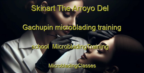 Skinart The Arroyo Del Gachupin microblading training school | #MicrobladingTraining #MicrobladingClasses #SkinartTraining-Mexico