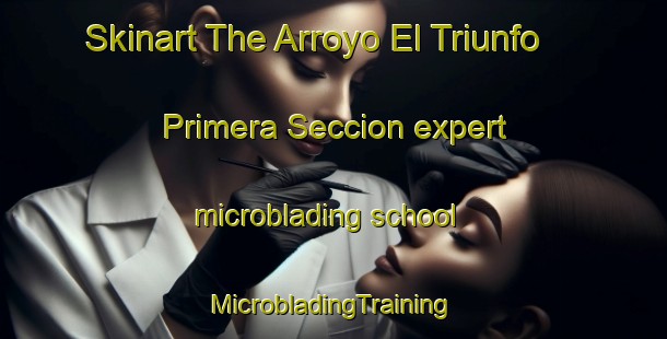 Skinart The Arroyo El Triunfo Primera Seccion expert microblading school | #MicrobladingTraining #MicrobladingClasses #SkinartTraining-Mexico