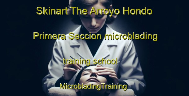 Skinart The Arroyo Hondo Primera Seccion microblading training school | #MicrobladingTraining #MicrobladingClasses #SkinartTraining-Mexico