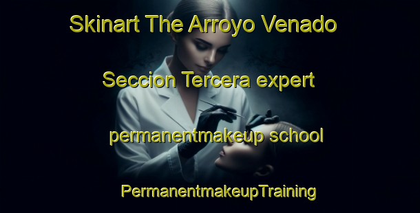 Skinart The Arroyo Venado  Seccion Tercera expert permanentmakeup school | #PermanentmakeupTraining #PermanentmakeupClasses #SkinartTraining-Mexico