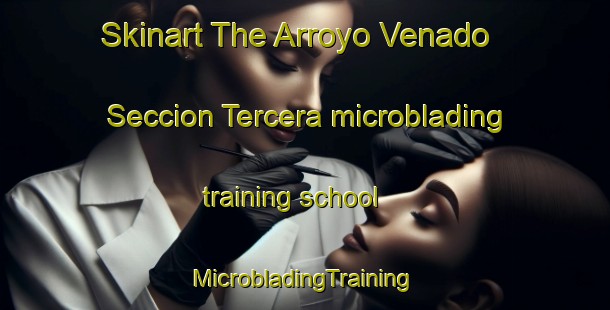 Skinart The Arroyo Venado  Seccion Tercera microblading training school | #MicrobladingTraining #MicrobladingClasses #SkinartTraining-Mexico