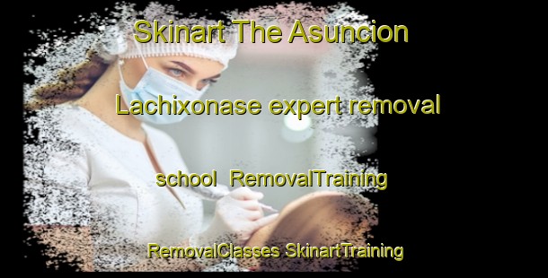 Skinart The Asuncion Lachixonase expert removal school | #RemovalTraining #RemovalClasses #SkinartTraining-Mexico