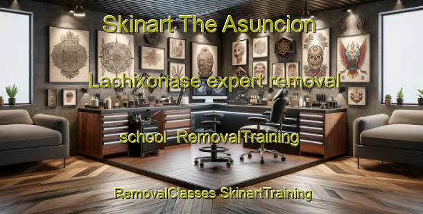 Skinart The Asuncion Lachixonase expert removal school | #RemovalTraining #RemovalClasses #SkinartTraining-Mexico