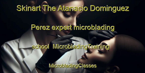 Skinart The Atanacio Dominguez Perez expert microblading school | #MicrobladingTraining #MicrobladingClasses #SkinartTraining-Mexico