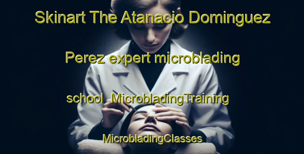 Skinart The Atanacio Dominguez Perez expert microblading school | #MicrobladingTraining #MicrobladingClasses #SkinartTraining-Mexico