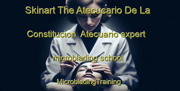 Skinart The Atecucario De La Constitucion  Atecuario expert microblading school | #MicrobladingTraining #MicrobladingClasses #SkinartTraining-Mexico