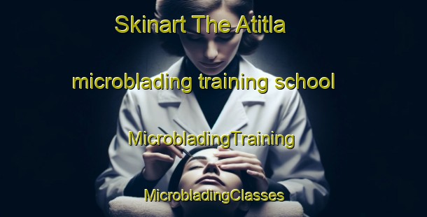 Skinart The Atitla microblading training school | #MicrobladingTraining #MicrobladingClasses #SkinartTraining-Mexico