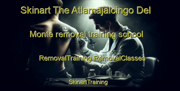 Skinart The Atlamajalcingo Del Monte removal training school | #RemovalTraining #RemovalClasses #SkinartTraining-Mexico