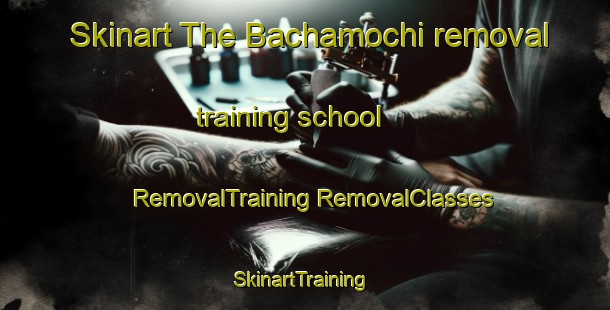 Skinart The Bachamochi removal training school | #RemovalTraining #RemovalClasses #SkinartTraining-Mexico