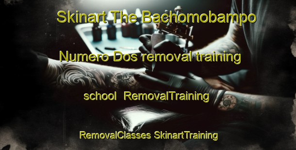 Skinart The Bachomobampo Numero Dos removal training school | #RemovalTraining #RemovalClasses #SkinartTraining-Mexico