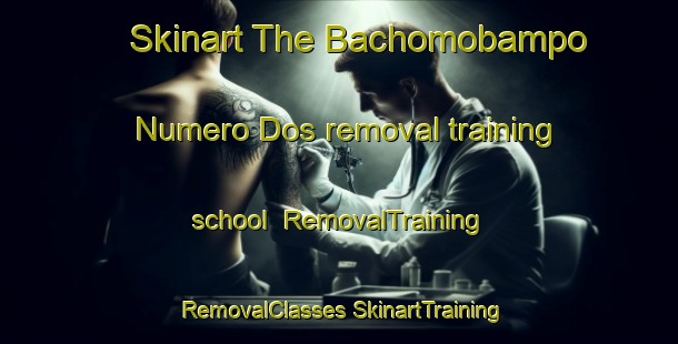 Skinart The Bachomobampo Numero Dos removal training school | #RemovalTraining #RemovalClasses #SkinartTraining-Mexico