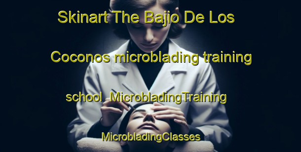 Skinart The Bajio De Los Coconos microblading training school | #MicrobladingTraining #MicrobladingClasses #SkinartTraining-Mexico