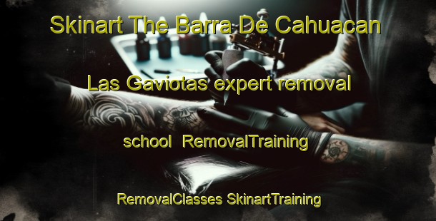 Skinart The Barra De Cahuacan  Las Gaviotas expert removal school | #RemovalTraining #RemovalClasses #SkinartTraining-Mexico