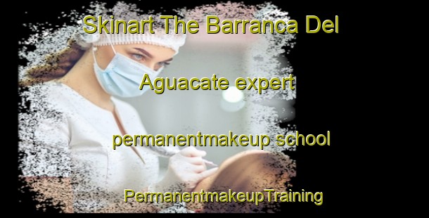 Skinart The Barranca Del Aguacate expert permanentmakeup school | #PermanentmakeupTraining #PermanentmakeupClasses #SkinartTraining-Mexico