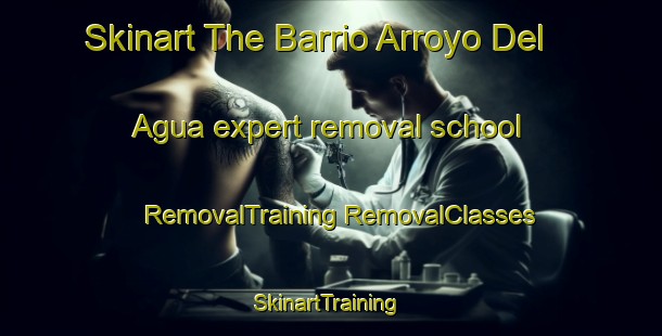 Skinart The Barrio Arroyo Del Agua expert removal school | #RemovalTraining #RemovalClasses #SkinartTraining-Mexico