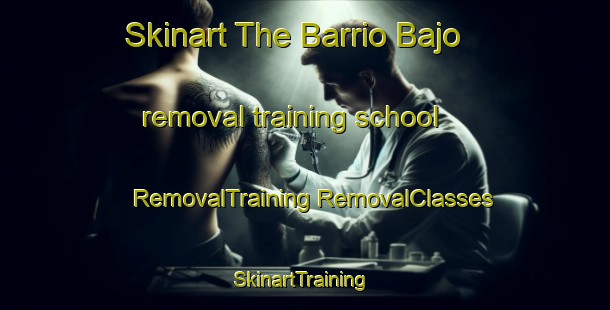 Skinart The Barrio Bajo removal training school | #RemovalTraining #RemovalClasses #SkinartTraining-Mexico