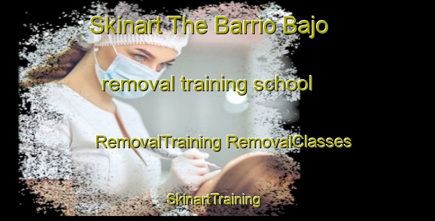 Skinart The Barrio Bajo removal training school | #RemovalTraining #RemovalClasses #SkinartTraining-Mexico