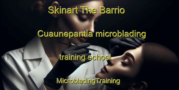 Skinart The Barrio Cuaunepantla microblading training school | #MicrobladingTraining #MicrobladingClasses #SkinartTraining-Mexico