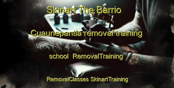 Skinart The Barrio Cuaunepantla removal training school | #RemovalTraining #RemovalClasses #SkinartTraining-Mexico