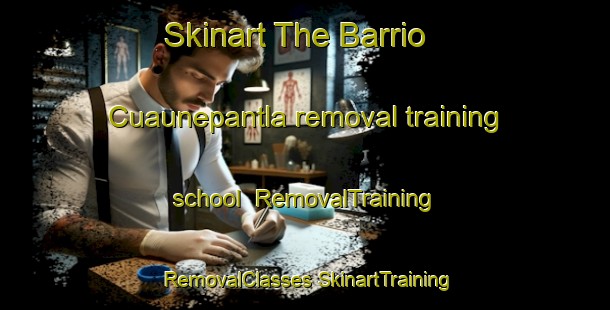 Skinart The Barrio Cuaunepantla removal training school | #RemovalTraining #RemovalClasses #SkinartTraining-Mexico