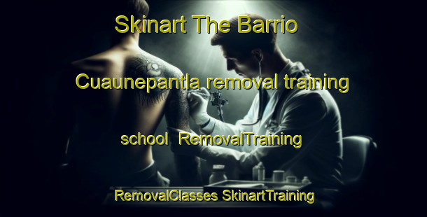 Skinart The Barrio Cuaunepantla removal training school | #RemovalTraining #RemovalClasses #SkinartTraining-Mexico