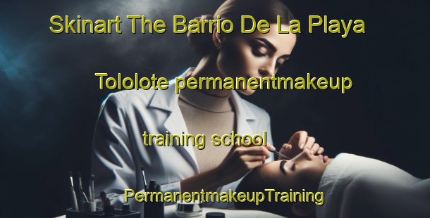 Skinart The Barrio De La Playa  Tololote permanentmakeup training school | #PermanentmakeupTraining #PermanentmakeupClasses #SkinartTraining-Mexico