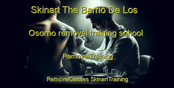 Skinart The Barrio De Los Osorno removal training school | #RemovalTraining #RemovalClasses #SkinartTraining-Mexico