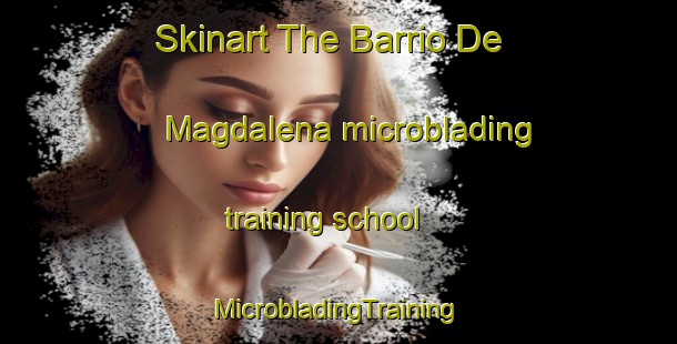 Skinart The Barrio De Magdalena microblading training school | #MicrobladingTraining #MicrobladingClasses #SkinartTraining-Mexico