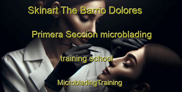 Skinart The Barrio Dolores  Primera Seccion microblading training school | #MicrobladingTraining #MicrobladingClasses #SkinartTraining-Mexico