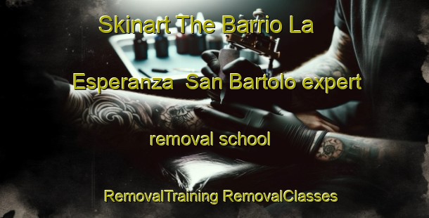 Skinart The Barrio La Esperanza  San Bartolo expert removal school | #RemovalTraining #RemovalClasses #SkinartTraining-Mexico