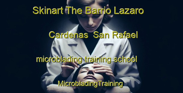 Skinart The Barrio Lazaro Cardenas  San Rafael microblading training school | #MicrobladingTraining #MicrobladingClasses #SkinartTraining-Mexico