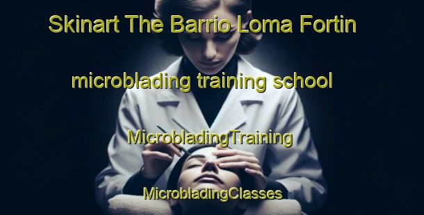 Skinart The Barrio Loma Fortin microblading training school | #MicrobladingTraining #MicrobladingClasses #SkinartTraining-Mexico