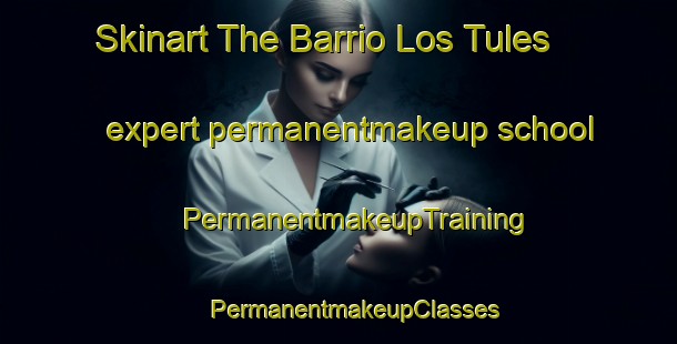 Skinart The Barrio Los Tules expert permanentmakeup school | #PermanentmakeupTraining #PermanentmakeupClasses #SkinartTraining-Mexico